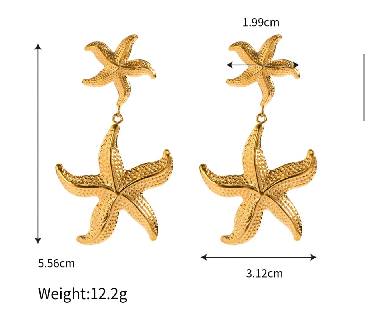 Aretes StarFish