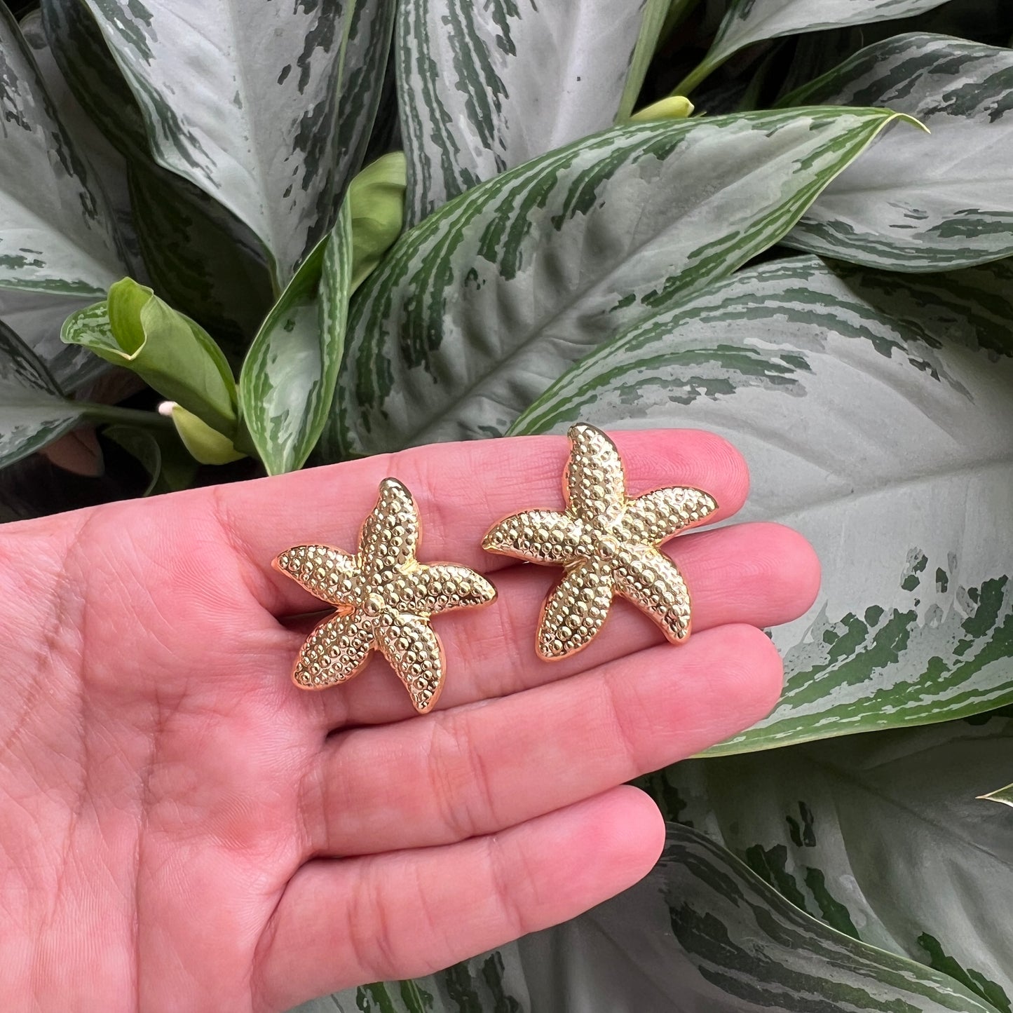 Aretes Starfish Nina